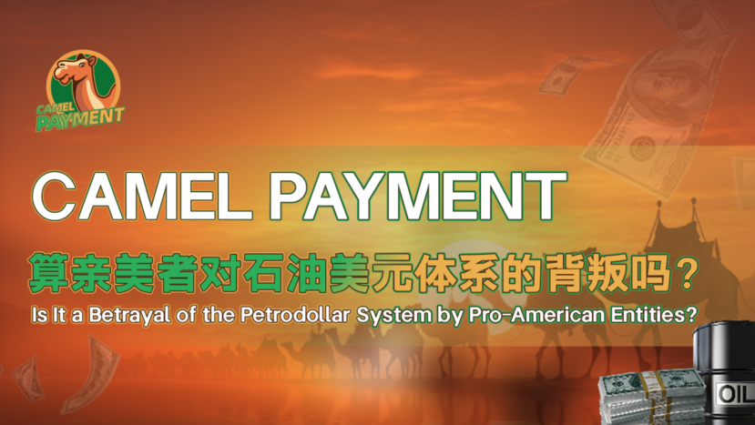 Camel Payment，算亲美者对石油美元体系的背叛吗？